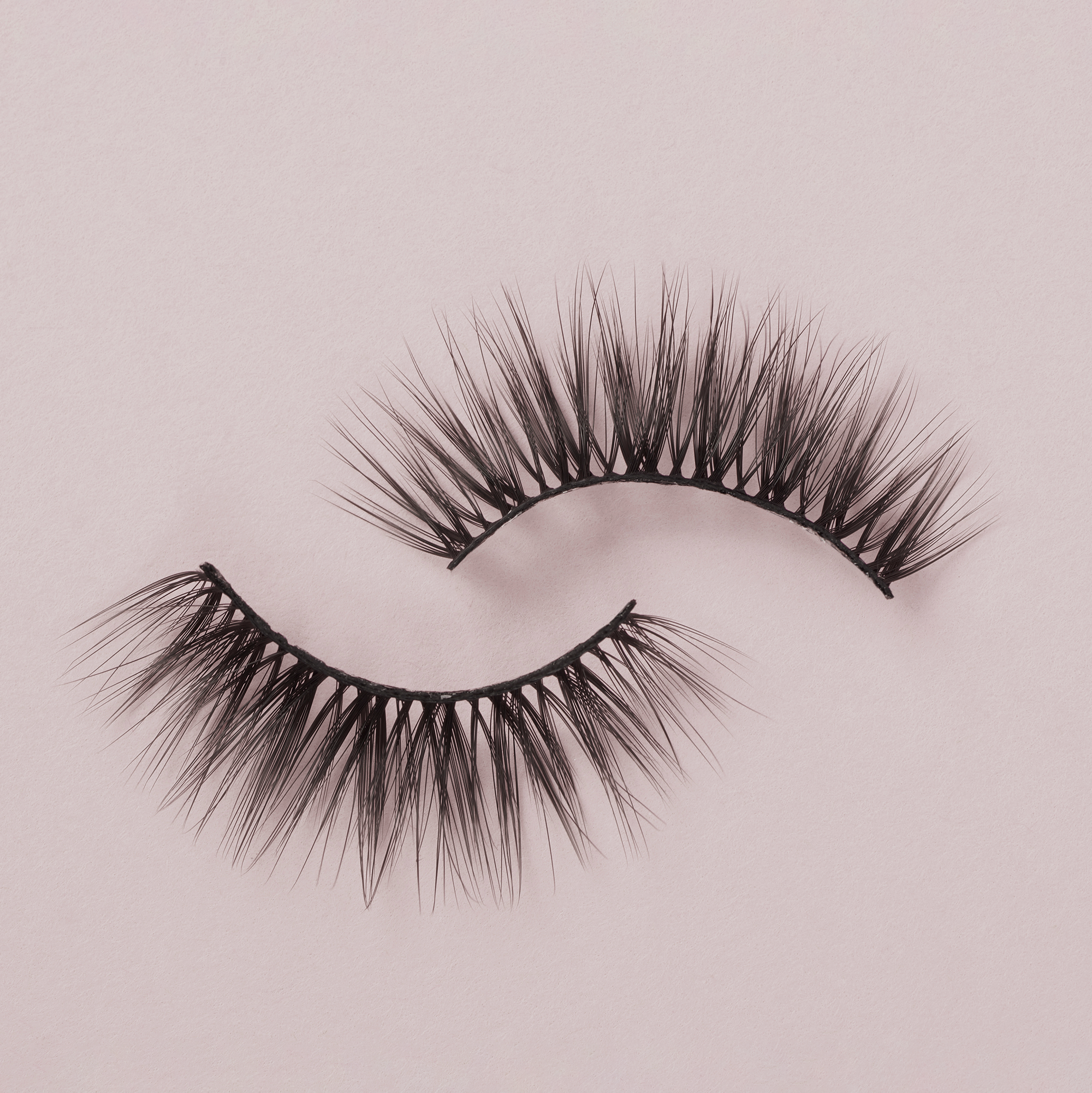 Lashes &amp; Tool Kit Bundle