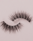 Lashes & Tool Kit Bundle